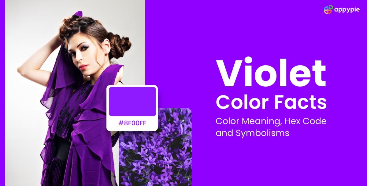 Violet Color Facts Color Meaning, Hex Code and Symbolisms