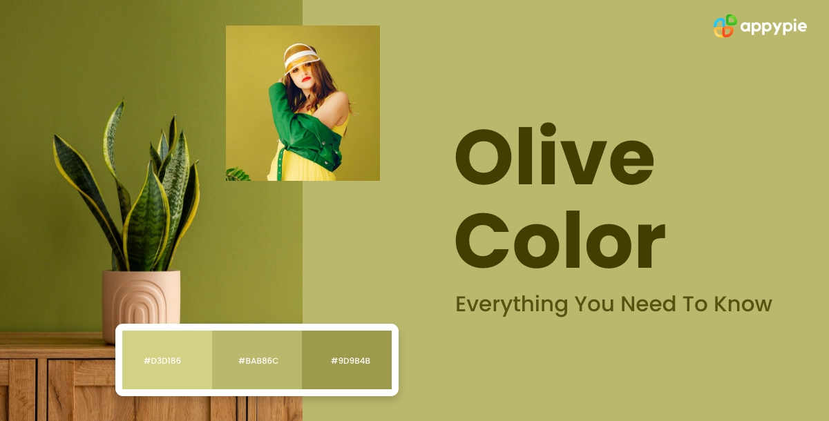 Olive Color Everything You Need To Know