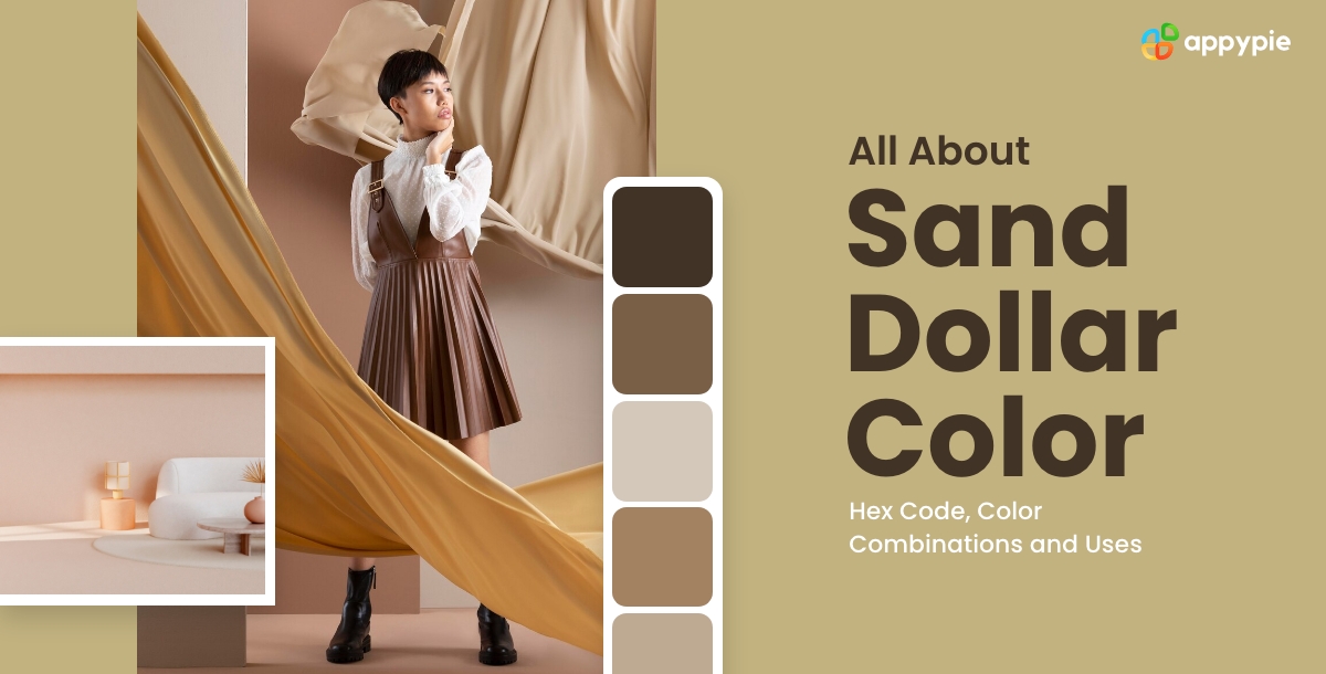 All About Sand Dollar Color - Hex Code, Color Combinations and Uses