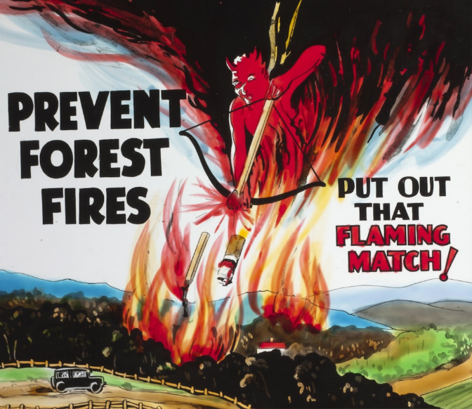 Prevent Forest Fires