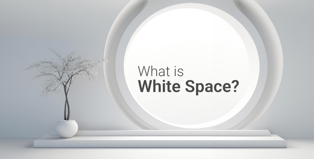 What is White Space?