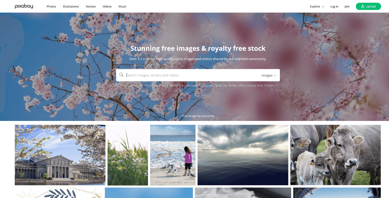 Top Websites for Free Stock Photos - Appy Pie