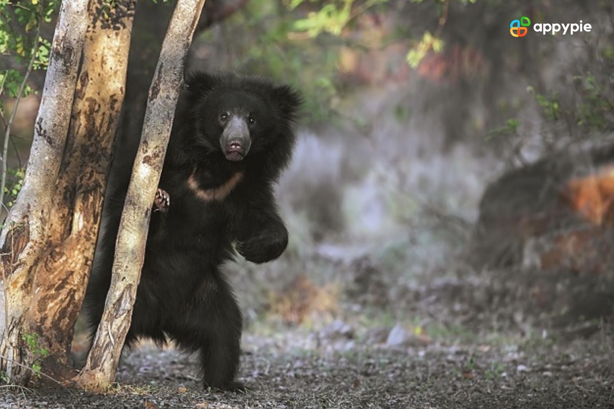 bear standing on hind legs behind a tree- AI Text to Image 